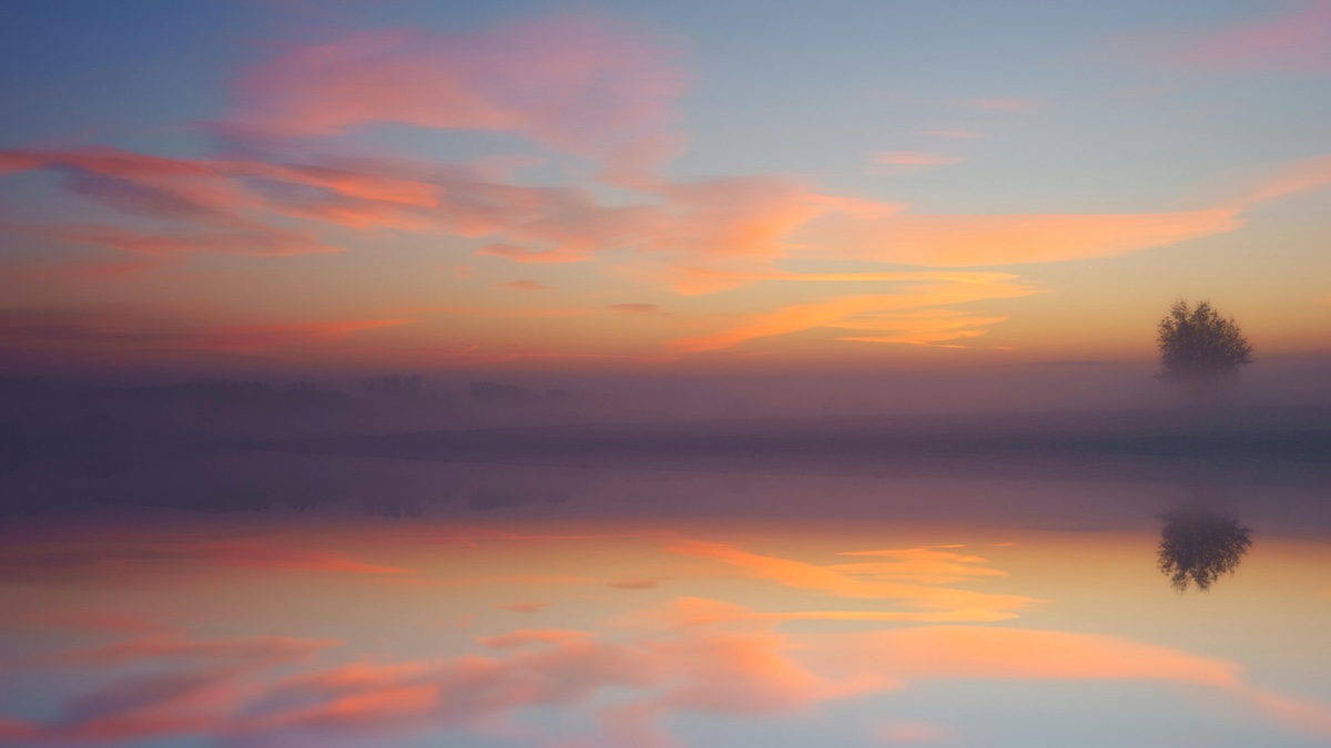 dawn